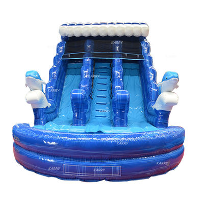Grands enfants gonflable à l'eau double diapositive N-diapositive avec impression numérique et souffleur