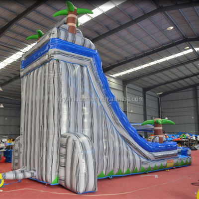 Impression numérique de qualité commerciale PVC bâche gonflable toboggan à eau avec piscine pour enfants