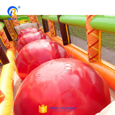 Longues courses d'obstacles gonflables pour adultes et enfants dans la jungle