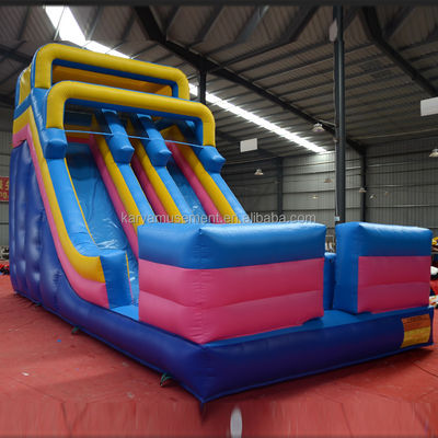 Impression numérique de qualité commerciale PVC Aqua Park toboggan à 2 voies pour adultes et enfants