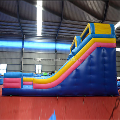 Impression numérique de qualité commerciale PVC Aqua Park toboggan à 2 voies pour adultes et enfants