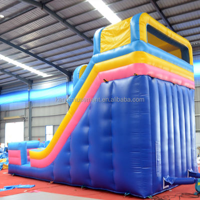 Impression numérique de qualité commerciale PVC Aqua Park toboggan à 2 voies pour adultes et enfants