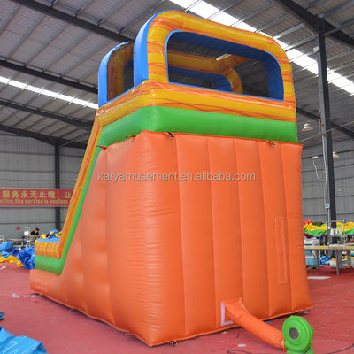 Château de location de palmier Château gonflable avec piscine à toboggan CE/EN71/EN14960 certifié