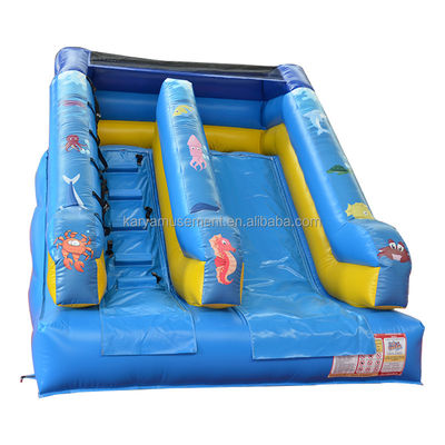 Glissière gonflable personnalisée pour les occasions commerciales 5-10 passagers