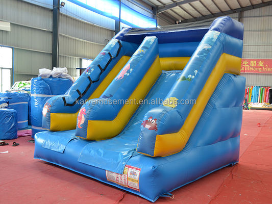Glissière gonflable personnalisée pour les occasions commerciales 5-10 passagers