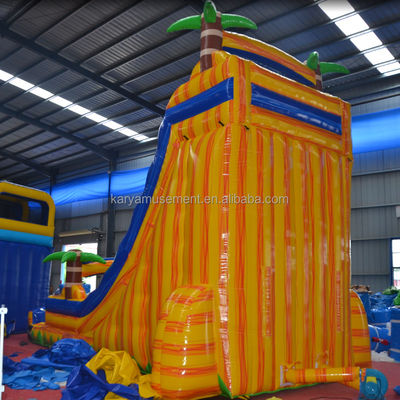 Certificat de couleur personnalisé CE/EN71/EN14960 toboggan gonflable avec piscine