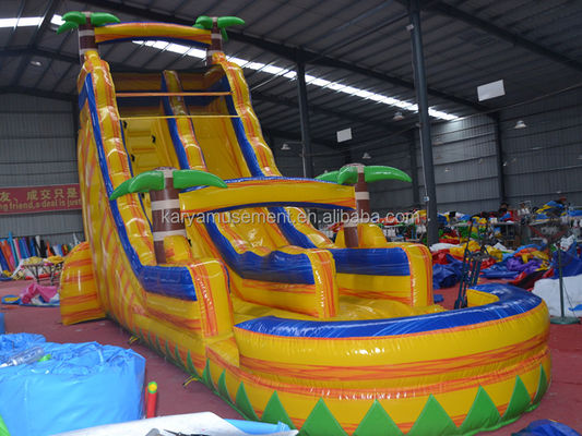 Certificat de couleur personnalisé CE/EN71/EN14960 toboggan gonflable avec piscine