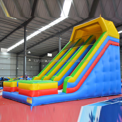 Glissière gonflable dans le jardin 2 voies et piscines Glissière de jeux pour enfants