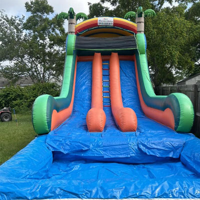 Glissière gonflable de qualité commerciale avec double voie et thème de palmier tropical