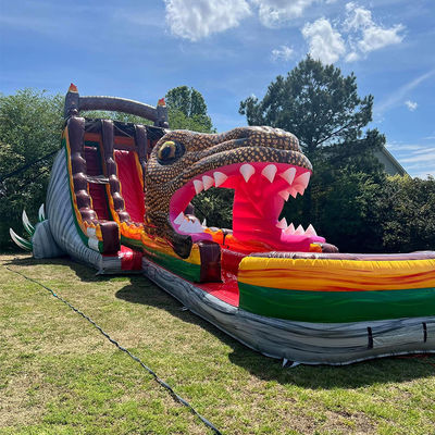 Glissière gonflable en PVC sur mesure sur le thème du dinosaure jurassique Glissière d'eau avec piscine