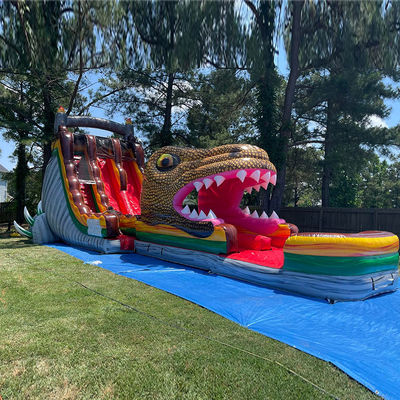 Glissière gonflable en PVC sur mesure sur le thème du dinosaure jurassique Glissière d'eau avec piscine