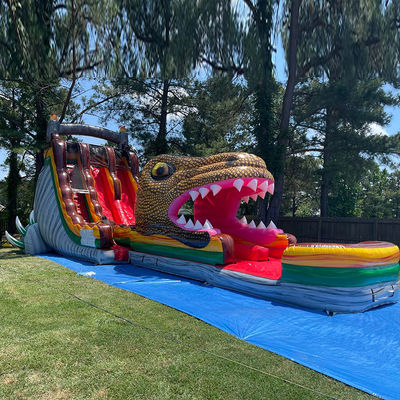 Glissière gonflable en PVC sur mesure sur le thème du dinosaure jurassique Glissière d'eau avec piscine