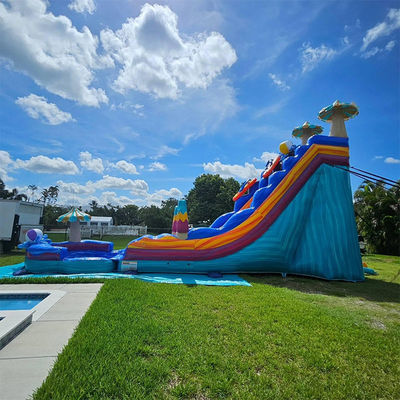 Des jeux de toboggans en PVC gonflables avec une grande piscine en forme de fleur