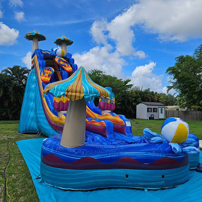 Des jeux de toboggans en PVC gonflables avec une grande piscine en forme de fleur