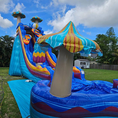 Des jeux de toboggans en PVC gonflables avec une grande piscine en forme de fleur