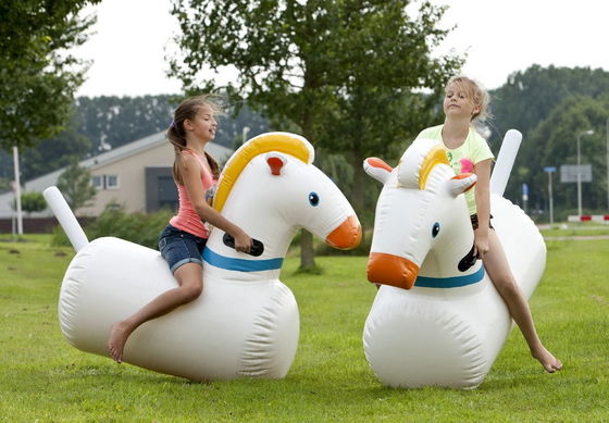 Jeux sportifs interactifs Cheval de course pour enfants et adultes Materia PVC