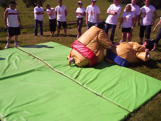 Jeu de carnaval Essentiel Adultes Costumes de sumo gonflables Spiderman pour le terrain de jeu en plein air