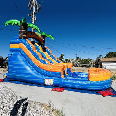Location commerciale personnalisable PVC parc aquatique gonflable avec glissement d'eau de palmier