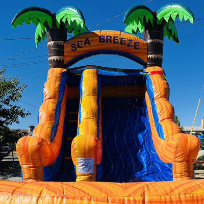 Location commerciale personnalisable PVC parc aquatique gonflable avec glissement d'eau de palmier
