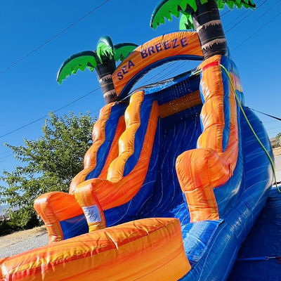 Location commerciale personnalisable PVC parc aquatique gonflable avec glissement d'eau de palmier