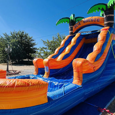 Location commerciale personnalisable PVC parc aquatique gonflable avec glissement d'eau de palmier