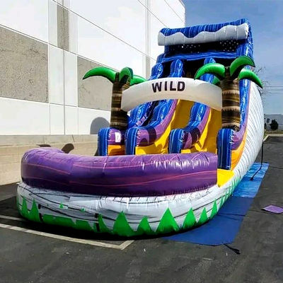 Grande piscine enfants saut de glissière Fête de maison Commercial Tropical Palmiers Glissière d'eau avec deux glissière n