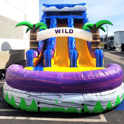 Grande piscine enfants saut de glissière Fête de maison Commercial Tropical Palmiers Glissière d'eau avec deux glissière n