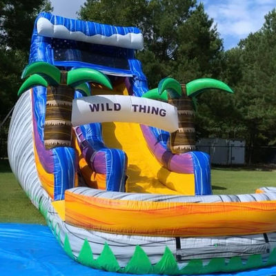 Grande piscine enfants saut de glissière Fête de maison Commercial Tropical Palmiers Glissière d'eau avec deux glissière n