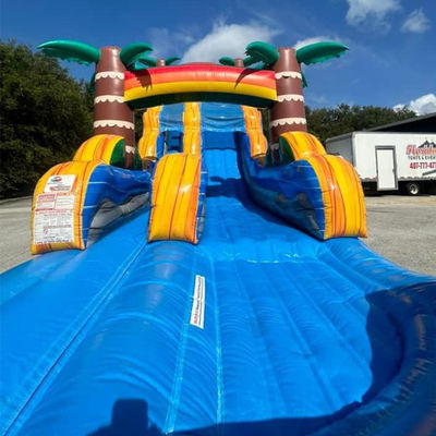 Expédition facilitée PVC commerciaux Tropical Palm Tree Water Slide gonflable avec piscine