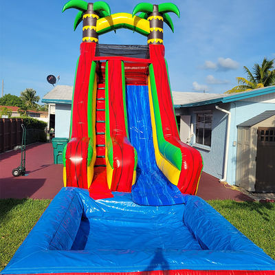 Glissière d'eau de palmier tropical en PVC avec piscine amovible et impression numérique