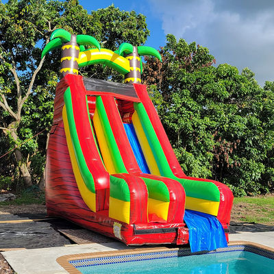 Glissière d'eau de palmier tropical en PVC avec piscine amovible et impression numérique
