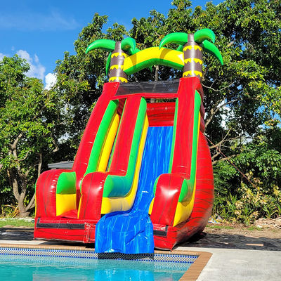 Glissière d'eau de palmier tropical en PVC avec piscine amovible et impression numérique