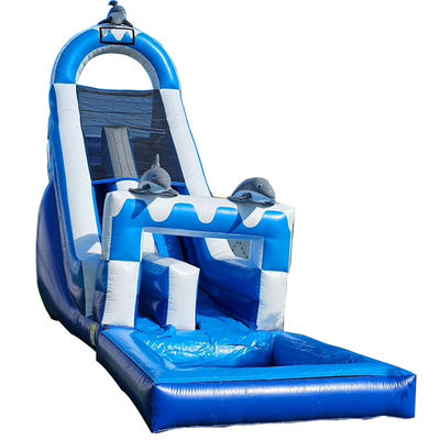 0.55mm PVC Tarpaulin énorme à thème dauphin toboggan gonflable avec piscine amovible