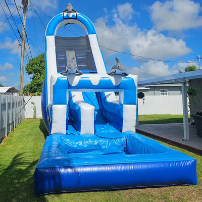 0.55mm PVC Tarpaulin énorme à thème dauphin toboggan gonflable avec piscine amovible