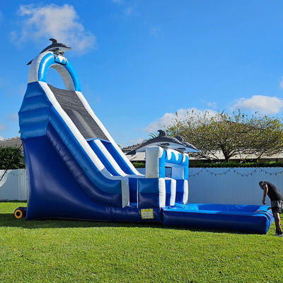 0.55mm PVC Tarpaulin énorme à thème dauphin toboggan gonflable avec piscine amovible