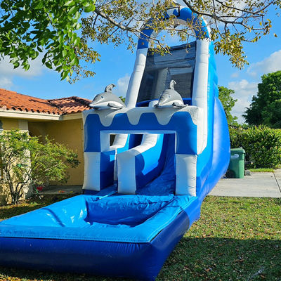 0.55mm PVC Tarpaulin énorme à thème dauphin toboggan gonflable avec piscine amovible