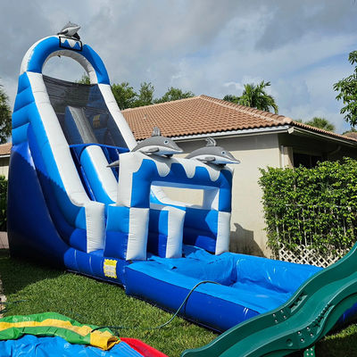 0.55mm PVC Tarpaulin énorme à thème dauphin toboggan gonflable avec piscine amovible