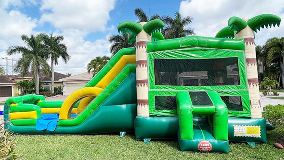 Un trampoline de château unisexe avec piscine de plongée