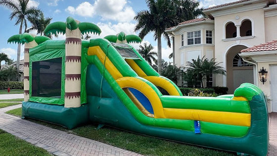 Un trampoline de château unisexe avec piscine de plongée