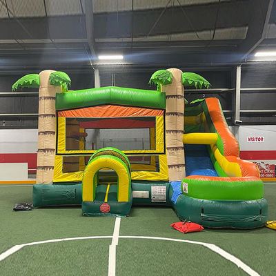 Caractéristiques PORTABLE château gonflable Palmier maison de rebond avec toboggan et petite piscine
