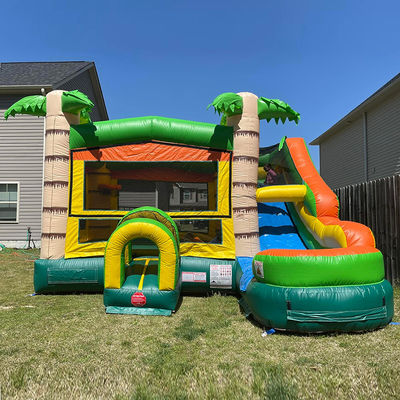 Caractéristiques PORTABLE château gonflable Palmier maison de rebond avec toboggan et petite piscine