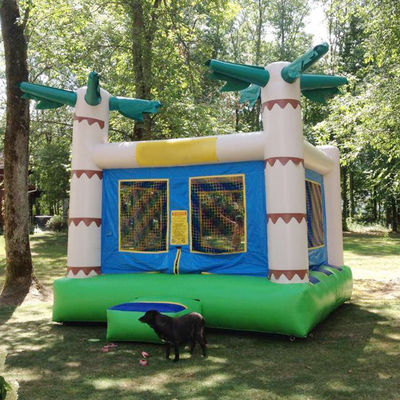 14 ans de plus Couleur personnalisée Palmier tropical Bouncy Kids Bouncing Château à louer