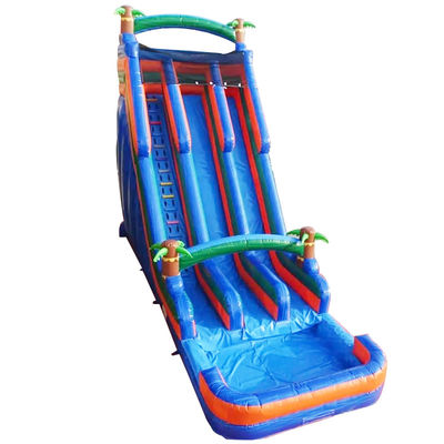 Glissière à eau à palmier d'orange gonflable double glissière n glissière et piscine pour le plaisir du jardin