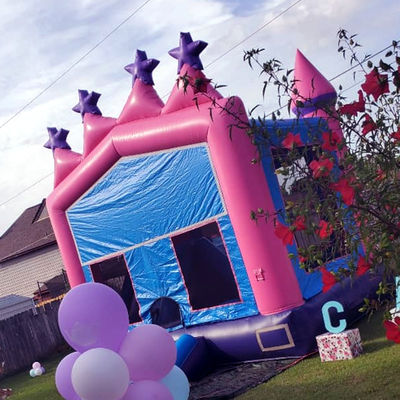 Grand portable de 0,55 mm PVC Vinyl Tarpaulin à l'extérieur ou à l'intérieur Combo gonflable Jumping Castle