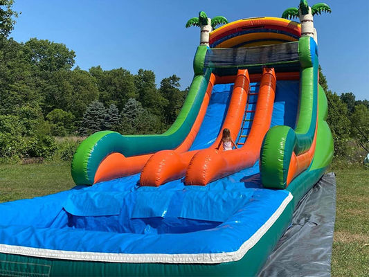Capacité maximale 100-500 kg Parc aquatique gonflable à double voie avec piscine et toboggan à palmiers