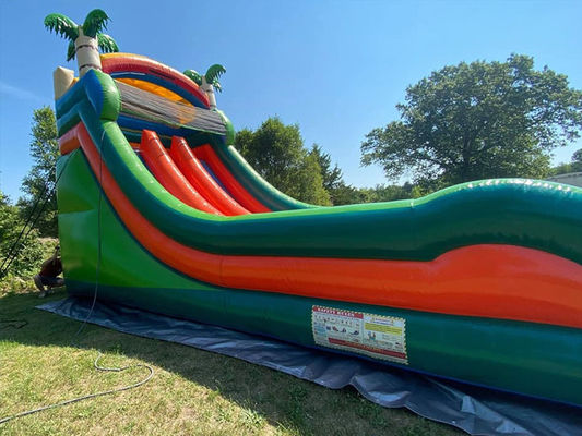 Capacité maximale 100-500 kg Parc aquatique gonflable à double voie avec piscine et toboggan à palmiers