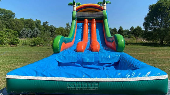 Capacité maximale 100-500 kg Parc aquatique gonflable à double voie avec piscine et toboggan à palmiers