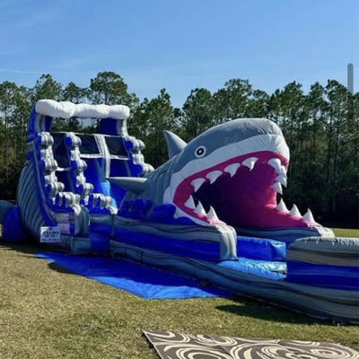 Taille personnalisée toboggan gonflable avec grand toboggan à requin et piscine
