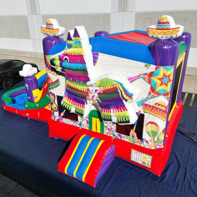 Maison gonflable en PVC portable pour chiot arc-en-ciel avec trampoline