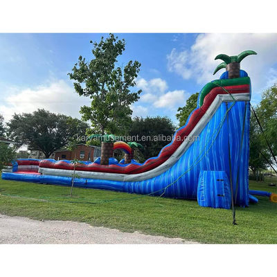 Château de saut gonflable pour parc aquatique